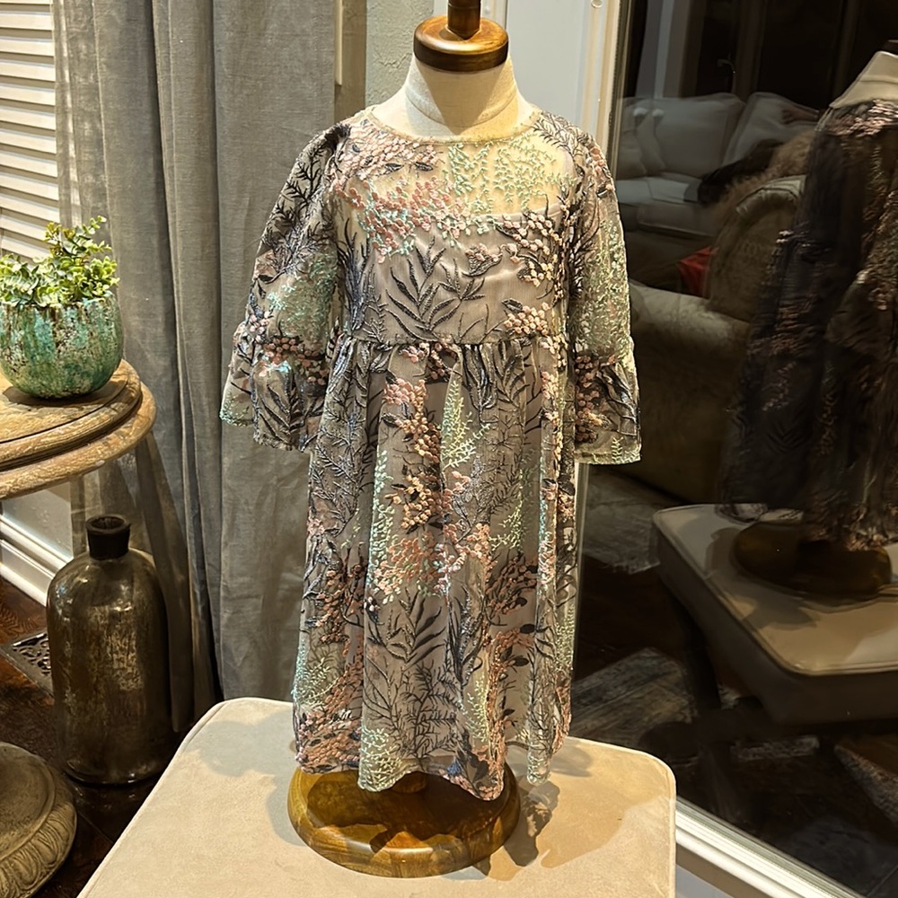 Beautiful Fully Embroidered Dress SZ 5